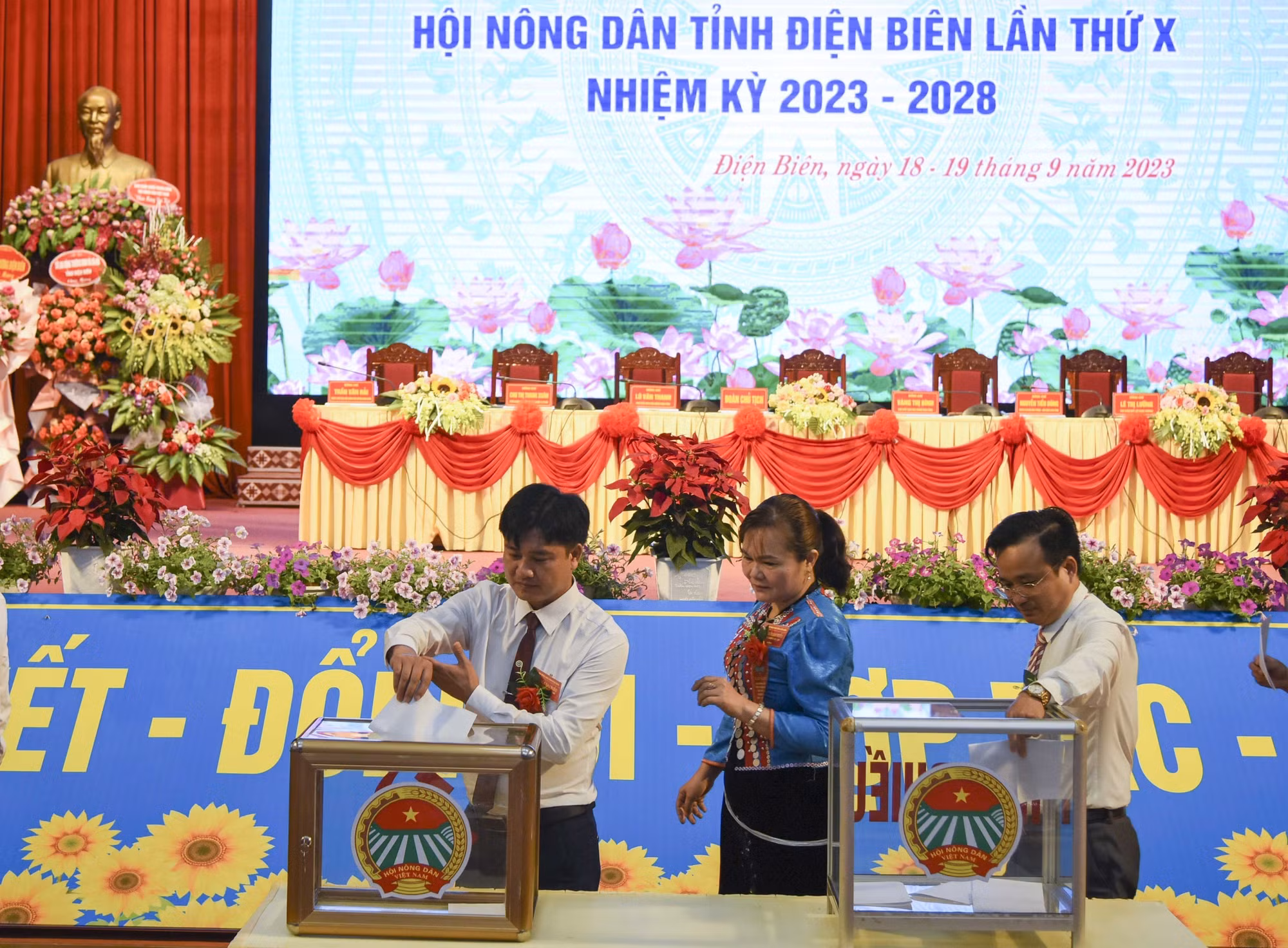 Bà Vàng Thị Bình tái đắc cử chức Chủ tịch Hội Nông dân tỉnh Điện Biên ảnh 2