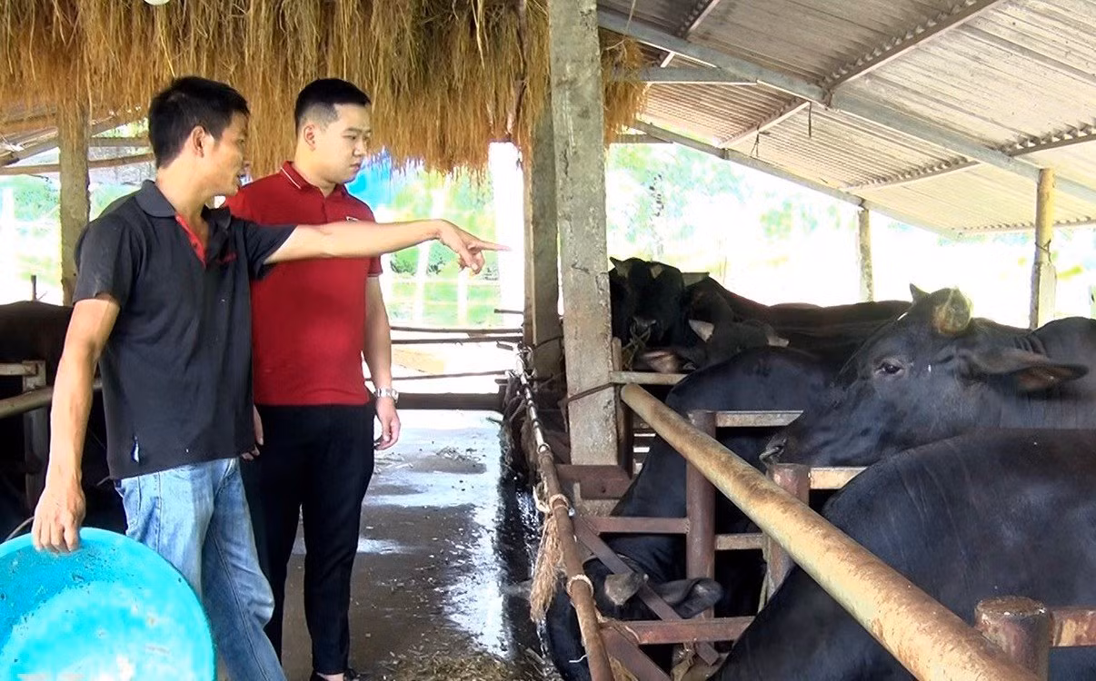 Hiệu quả vốn tín dụng phát triển nông nghiệp nông thôn tại huyện Yên Sơn ảnh 2