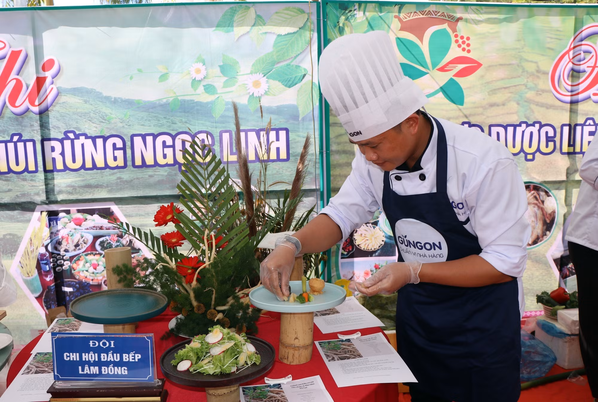 Quảng bá giá trị dược liệu - tinh hoa núi rừng Ngọc Linh ảnh 3 Quảng bá giá trị dược liệu - tinh hoa núi rừng Ngọc Linh ảnh 3