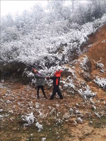 Đỉnh đèo Khau Phạ ở Yên Bái xuất hiện băng giá ảnh 3