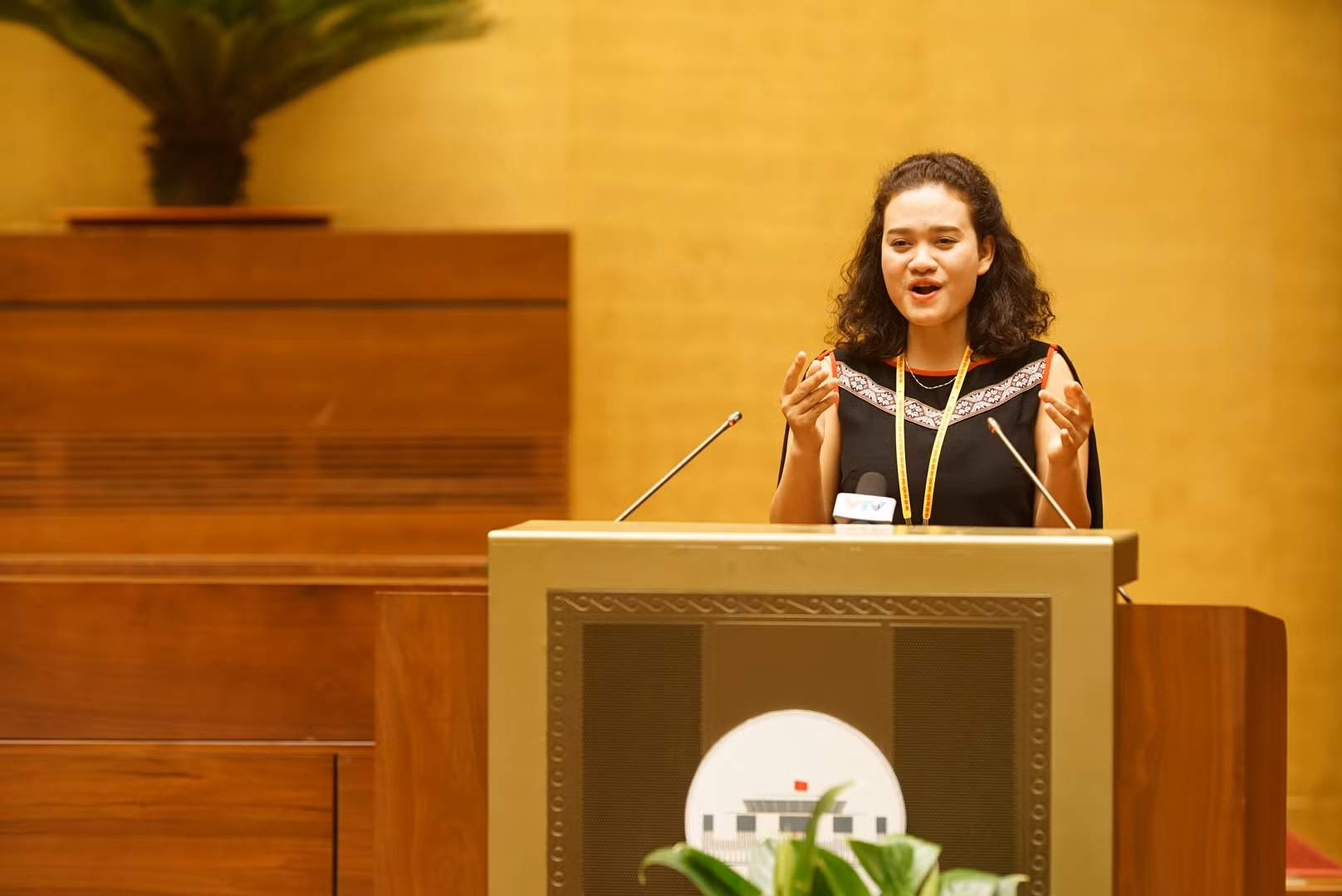 Chủ tịch Quốc hội Nguyễn Thị Kim Ngân gặp mặt Đoàn đại biểu dự Đại hội đại biểu toàn quốc các dân tộc thiểu số Việt Nam lần thứ II ảnh 6