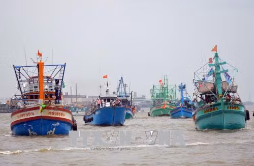 Đoàn tàu ra biển ngày lễ nghinh Ông. Ảnh: Huỳnh Thế Anh-TTXVN
