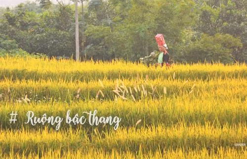 Cung đường tuần tra biên giới đẹp ngất ngây ở Quảng Ninh ảnh 10