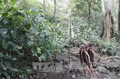 Già làng, đàn ông dựng cây Nêu trong lễ cúng Bến nước. Ảnh: Hồng Điệp – TTXVN.