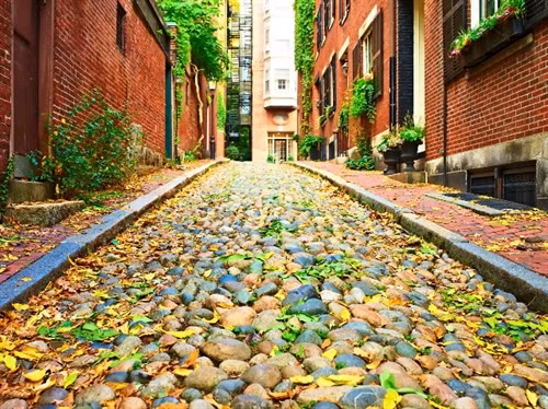 Mùa thu Boston chìm trong nắng vàng dịu ngọt của một thành phố còn mang lối kiến trúc cổ kính.