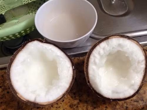 Đặc sản dừa sáp Trà Vinh ảnh 1