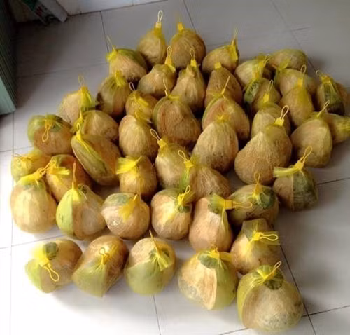 Đặc sản dừa sáp Trà Vinh ảnh 6