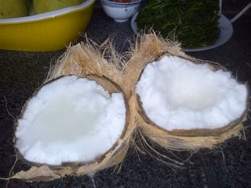 Đặc sản dừa sáp Trà Vinh ảnh 5