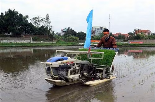 Trình diễn máy nông nghiệp cấy lúa tại lệ hội. Ảnh: Thu Hằng - TTXVN