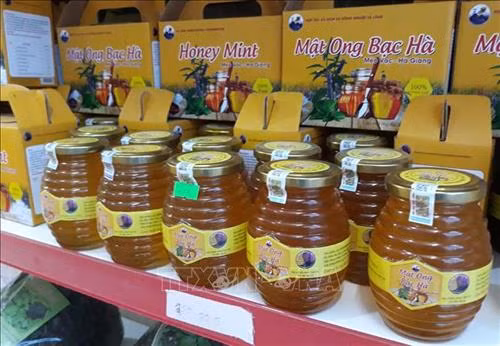 Sản phẩm mật ong bạc hà của huyện Mèo Vạc, Hà Giang. Ảnh: Quyết Chiến-TTXVN