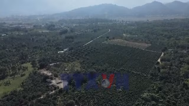 Netzero - Bổ sung 539 cơ sở phát thải vào diện kiểm kê khí nhà kính
