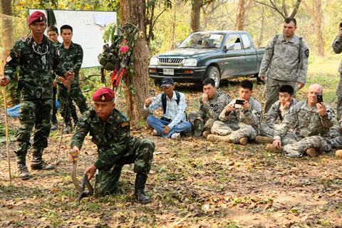 Xem lính Mỹ ăn côn trùng, uống tiết rắn ảnh 3