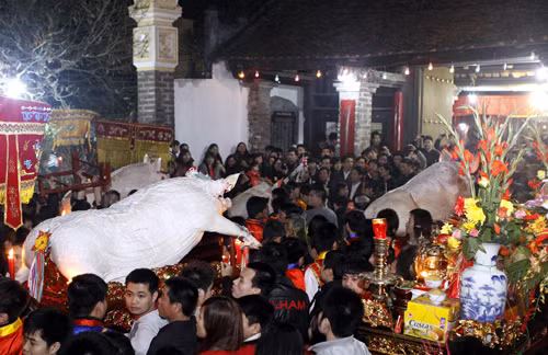 Độc đáo lễ hội 'Rước lợn' La Phù ảnh 7