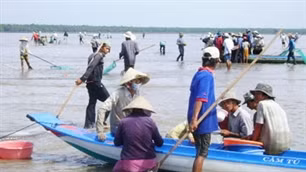 Đánh bắt thuỷ sản kiểu tận diệt ở Cà Mau ảnh 1