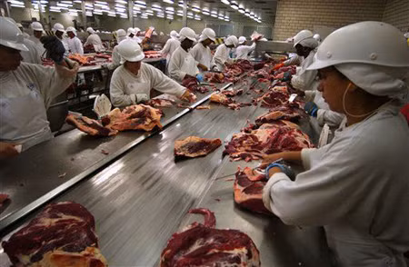 Nestlé và JBS cũng liên quan đến bê bối 'thịt ngựa giả thịt bò' ảnh 1