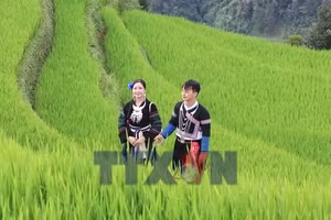 Lào Cai biến sắc màu văn hóa thành nguồn lực du lịch