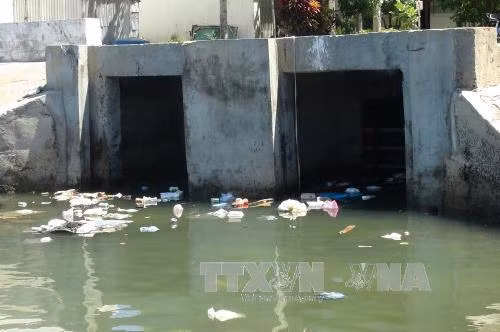 Tăng cường thu gom, xử lý rác thải ở vùng ven biển ảnh 2