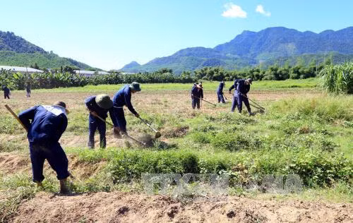 Lao động giúp trị liệu cho học viên cai nghiện ma túy ảnh 5