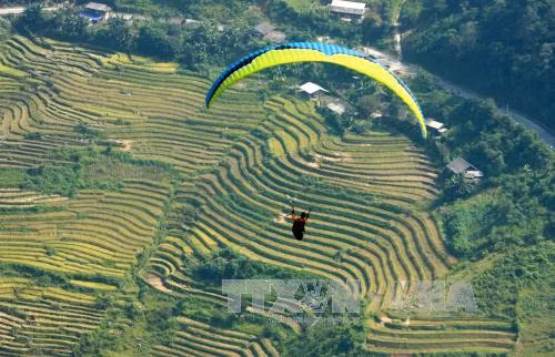 100 phi công tham gia Festival dù lượn 'Bay trên mùa vàng' ảnh 2