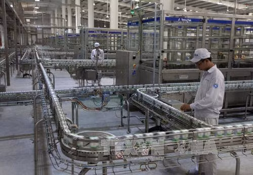 Đã chọn được đơn vị tư vấn bán 3,33% vốn điều lệ của Vinamilk ảnh 1