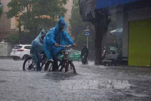 Nam Bộ, Tây Nguyên có dông, mưa to trong 3 ngày tới ảnh 1