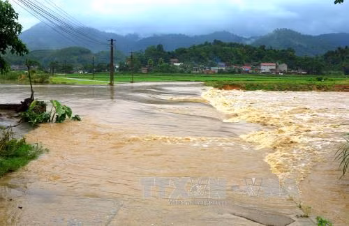 Khẩn trương khắc phục hậu quả bão số 2, cảnh báo nguy cơ sạt lở đất ảnh 1