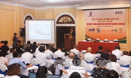 Việt Nam và Ấn Độ hợp tác trong lĩnh vực đóng tàu ảnh 1