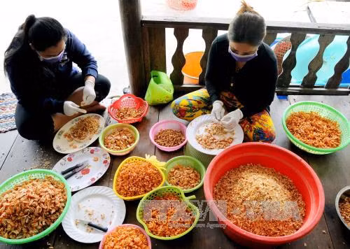 Giá tôm nguyên liệu tăng, người nuôi tôm phấn khởi ảnh 2