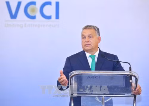 Diễn đàn Doanh nghiệp Việt Nam - Hungary ảnh 1