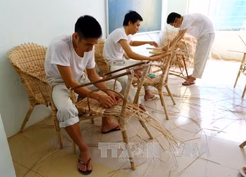 Lao động giúp trị liệu cho học viên cai nghiện ma túy ảnh 6