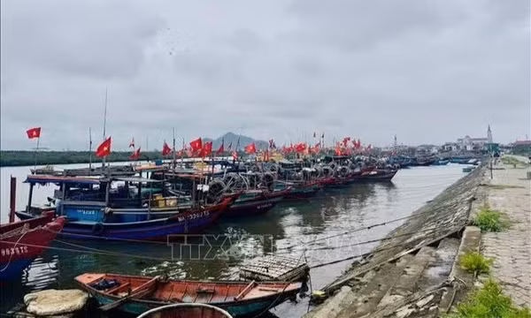Tăng tỷ lệ truy xuất nguồn gốc thủy sản điện tử