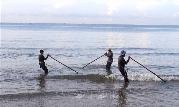 Nghề cào chằng chằng - sinh kế bình dị của ngư dân Mũi Né