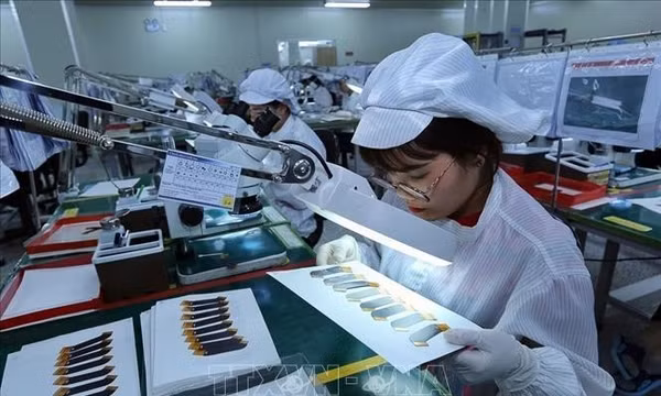 Nền tảng phát triển công nghiệp bán dẫn, AI và đô thị thông minh