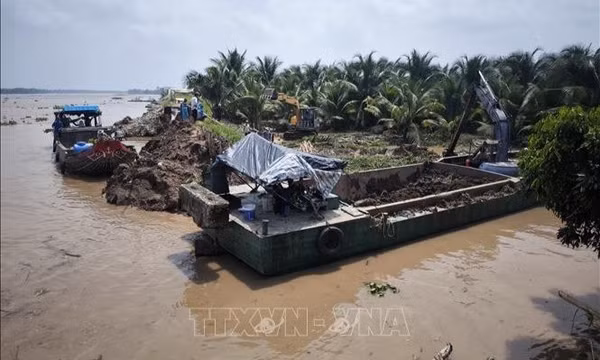 Vĩnh Long: Khẩn trương khắc phục sạt lở đê bao cồn Cái Gà