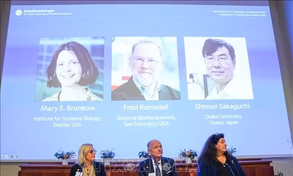Nobel 2025: Nobel Y Sinh vinh danh khám về hệ thống kiểm soát miễn dịch