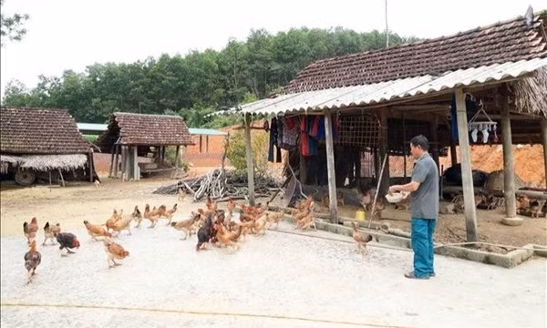 Vốn chính sách mở lối thoát nghèo tại vùng biên giới Sơn Hồng