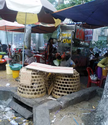 Mối nguy dịch bệnh từ gia cầm lậu ảnh 1
