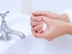 WHO giải đáp “thắc mắc” về cúm A/H7N9 ảnh 1