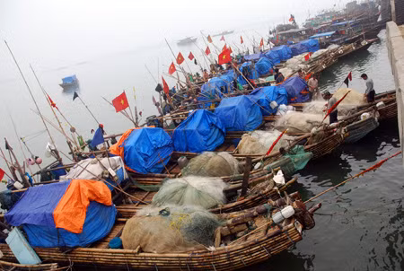 Đến Cô Tô, miền biển xanh cát trắng yên bình ảnh 7