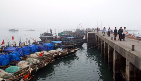 Đến Cô Tô, miền biển xanh cát trắng yên bình ảnh 6