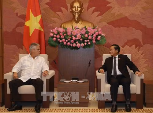 Phó Chủ tịch Quốc hội Đỗ Bá Tỵ tiếp Phó Chủ tịch Ủy ban bảo vệ cách mạng Cuba ảnh 1