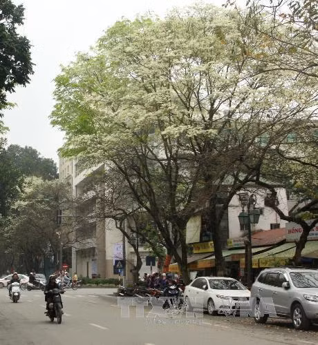 Miền Bắc đón không khí lạnh kèm mưa nhỏ ảnh 1