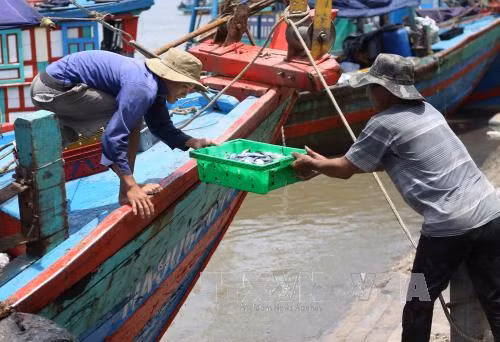 Nghệ An đầu tư nâng cấp các cảng cá, bến cá ảnh 1