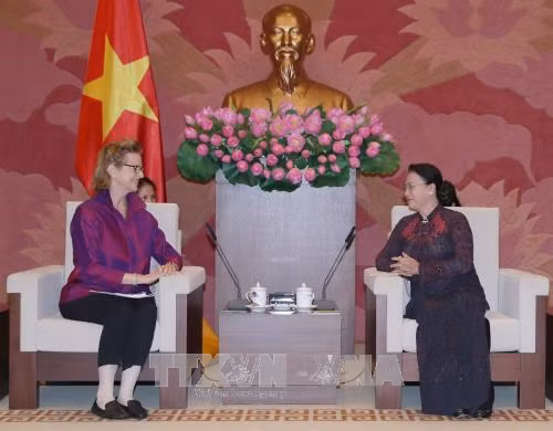 Chủ tịch Quốc hội Nguyễn Thị Kim Ngân tiếp tân Giám đốc Quốc gia UNDP tại Việt Nam ảnh 1