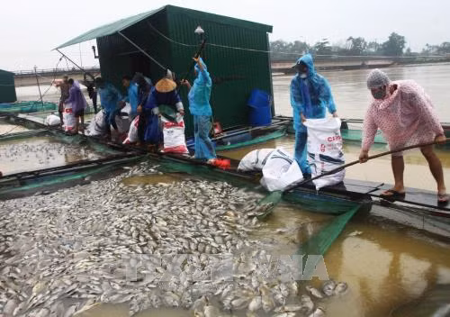Đảm bảo nước sạch, vệ sinh môi trường, quản lý chất thải sau bão lũ ảnh 1