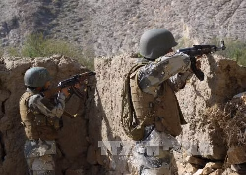 Afghanistan tiêu diệt 74 kẻ khủng bố trong một ngày ảnh 1