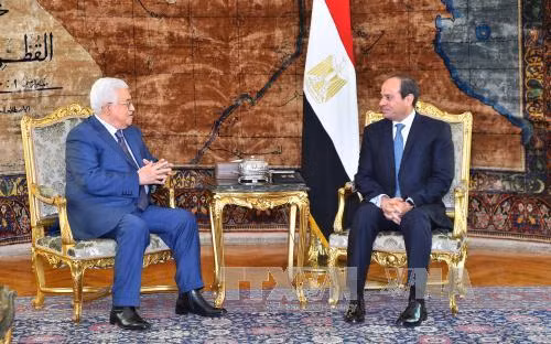 Ai Cập và Palestine tìm cách khôi phục tiến trình hòa bình Trung Đông ảnh 1