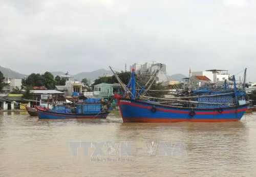 Ứng phó với bão số 12: Đảm bảo an toàn cho người dân ở trên biển, vùng ven biển ảnh 2