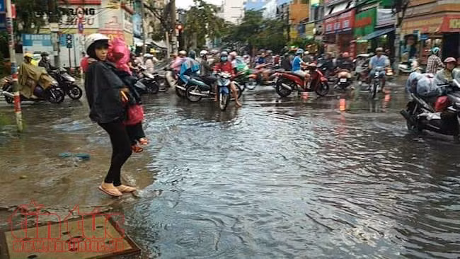 Nhiều tuyến đường TP Hồ Chí Minh lại ngập sâu sau cơn mưa lớn ảnh 7