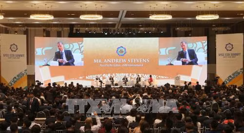 APEC 2017: Thảo luận nhiều vấn đề thiết thực với cộng đồng doanh nghiệp ảnh 1